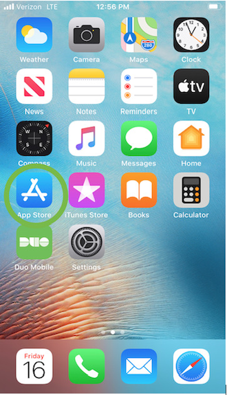 Screenshot of the iPhone home screen with the App Store application circled.