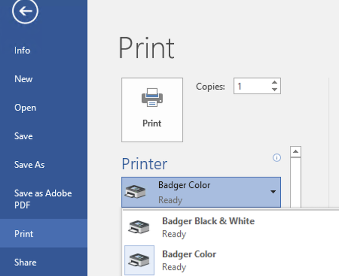 Image of the Windows Print window with Badger Color selected.