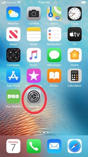 iPhone home screen with Settings icon circled (grey gear)