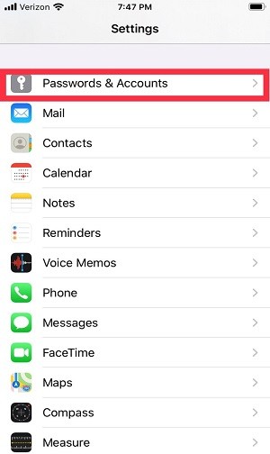 Settings screen with Passwords & Accounts button circled