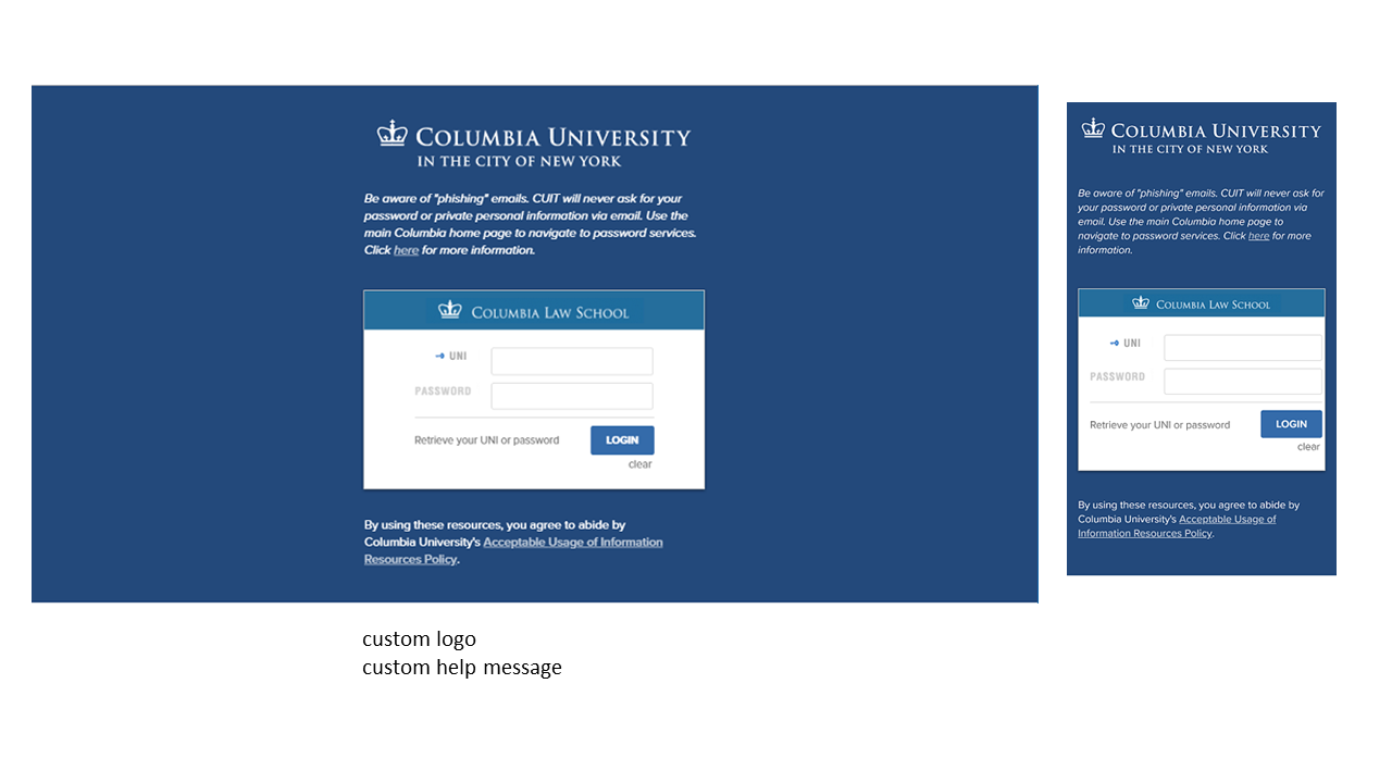 CAS login page with custom logo and custom help link