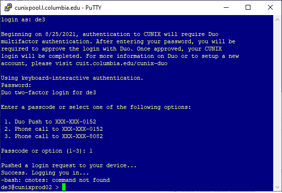Login success Successful login view