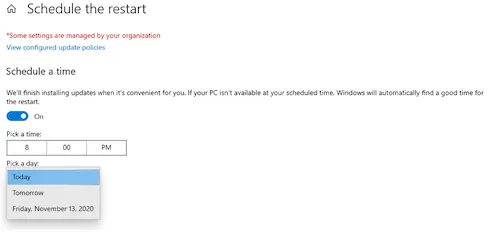Image of the Schedule the restart window with Schedule a time options listed.