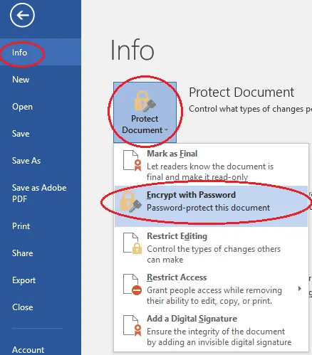 Microsoft Word 2016 Info page (found under File menu)