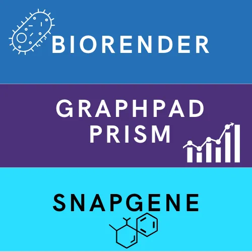 "BioRender"with cell icon, "GraphPad Prism" with graph icon, and "SnapGene" with molecule icon below