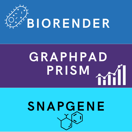 BioRender, GraphPad Prism, SnapGene
