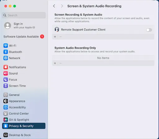 Screen and System Audio Recording