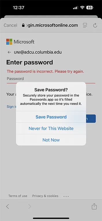 Select Save Password